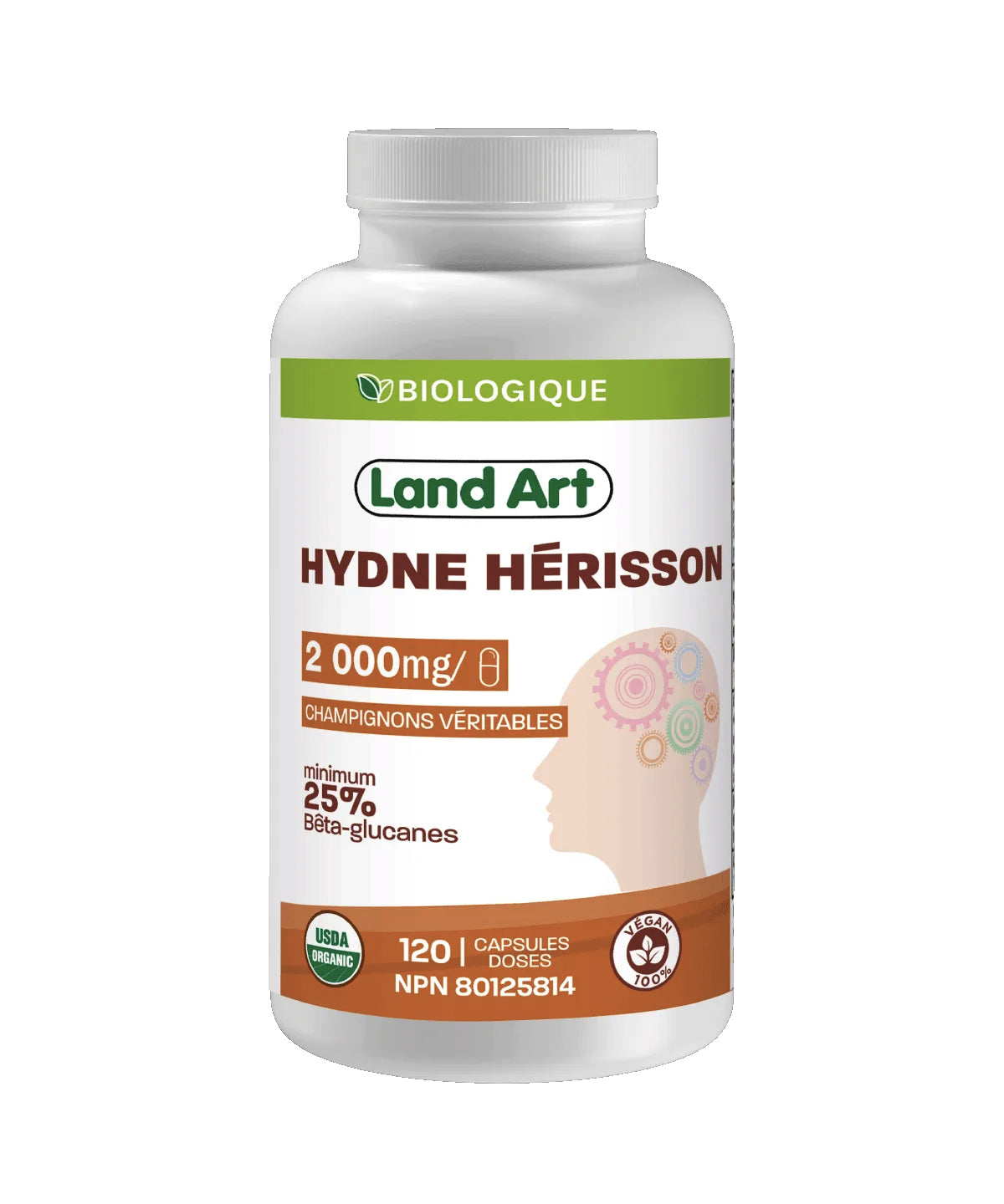 Hydne Hérisson Biologique - Crinière de lion - Lion's Mane - Mémoire et concentration - Land Art - 120 capsules