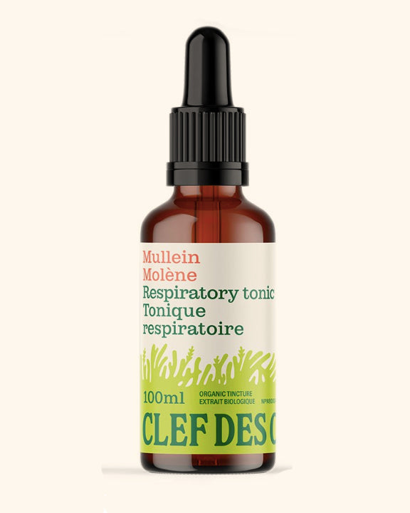 Molène - Tonique respiratoire - Clef des champs - 50ml ou 100ml