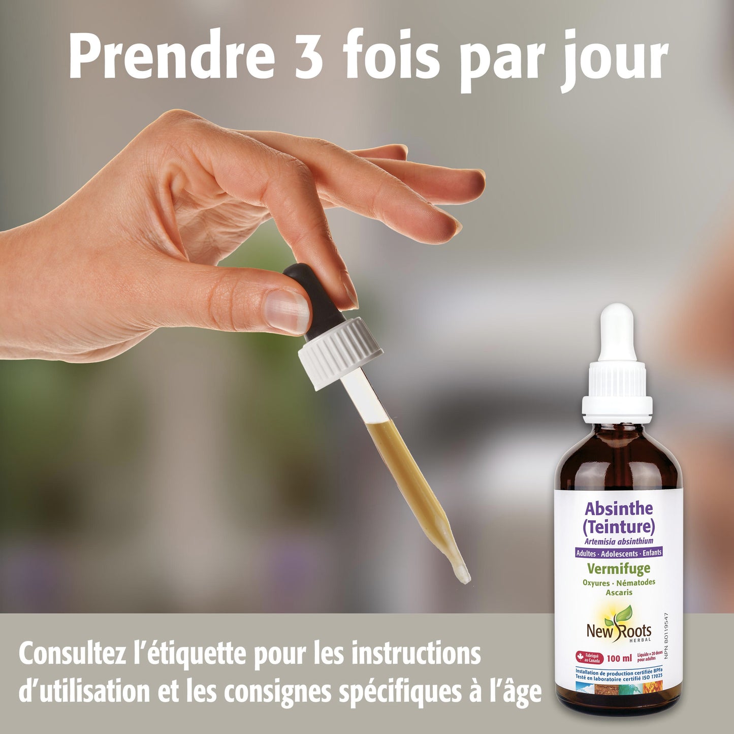 Absinthe liquide - Artemisia absinthium - Anti-parasitaire et vermifuge - enfants, adolescents, adultes - New Roots - 100ml (teinture-mère)