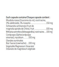 Adrenergy - Alterra / Herbasanté - 90 capsules