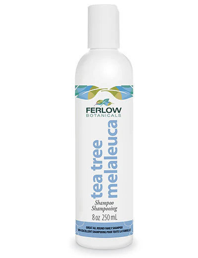 Shampoing Tea Tree - Démangeaisons cuir chevelu - Ferlow Botanicals - 250ml
