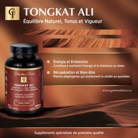 Tongkat Ali (extrait 100:1) 300 mg avec astragale (extrait 20:1) 100 MG - Gamma Force - 60 capsules